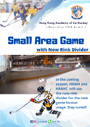 Small Are Game with New Rink Divider 