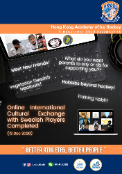 Online International Cultural Exchange with Swedish Players Completed