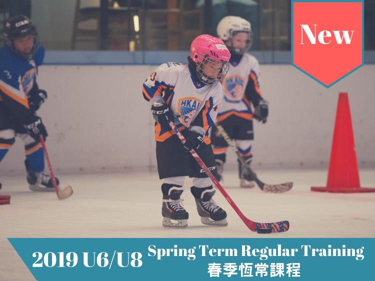 2019 Spring Term Regular Training