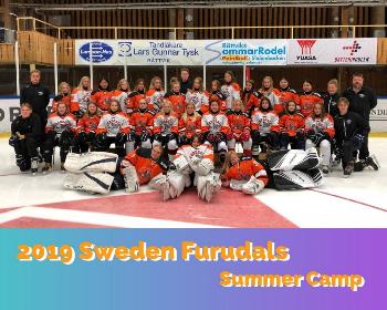 瑞典富路達斯冰球夏令營